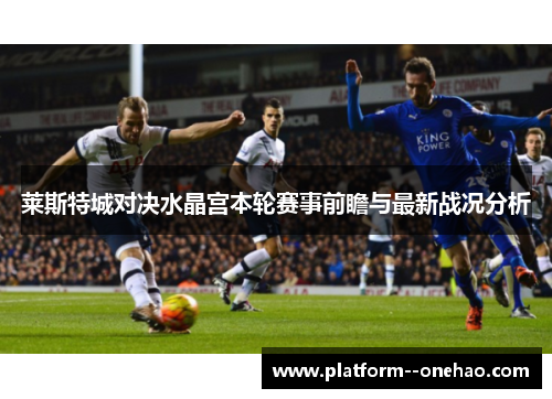莱斯特城对决水晶宫本轮赛事前瞻与最新战况分析
