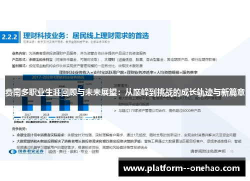 费南多职业生涯回顾与未来展望：从巅峰到挑战的成长轨迹与新篇章