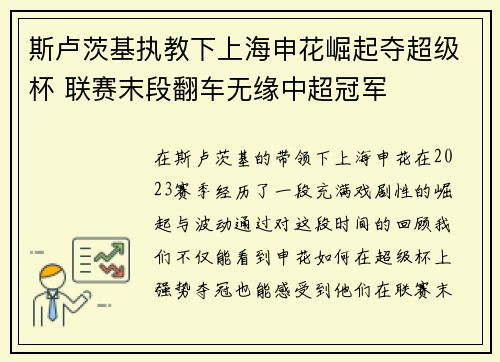 斯卢茨基执教下上海申花崛起夺超级杯 联赛末段翻车无缘中超冠军